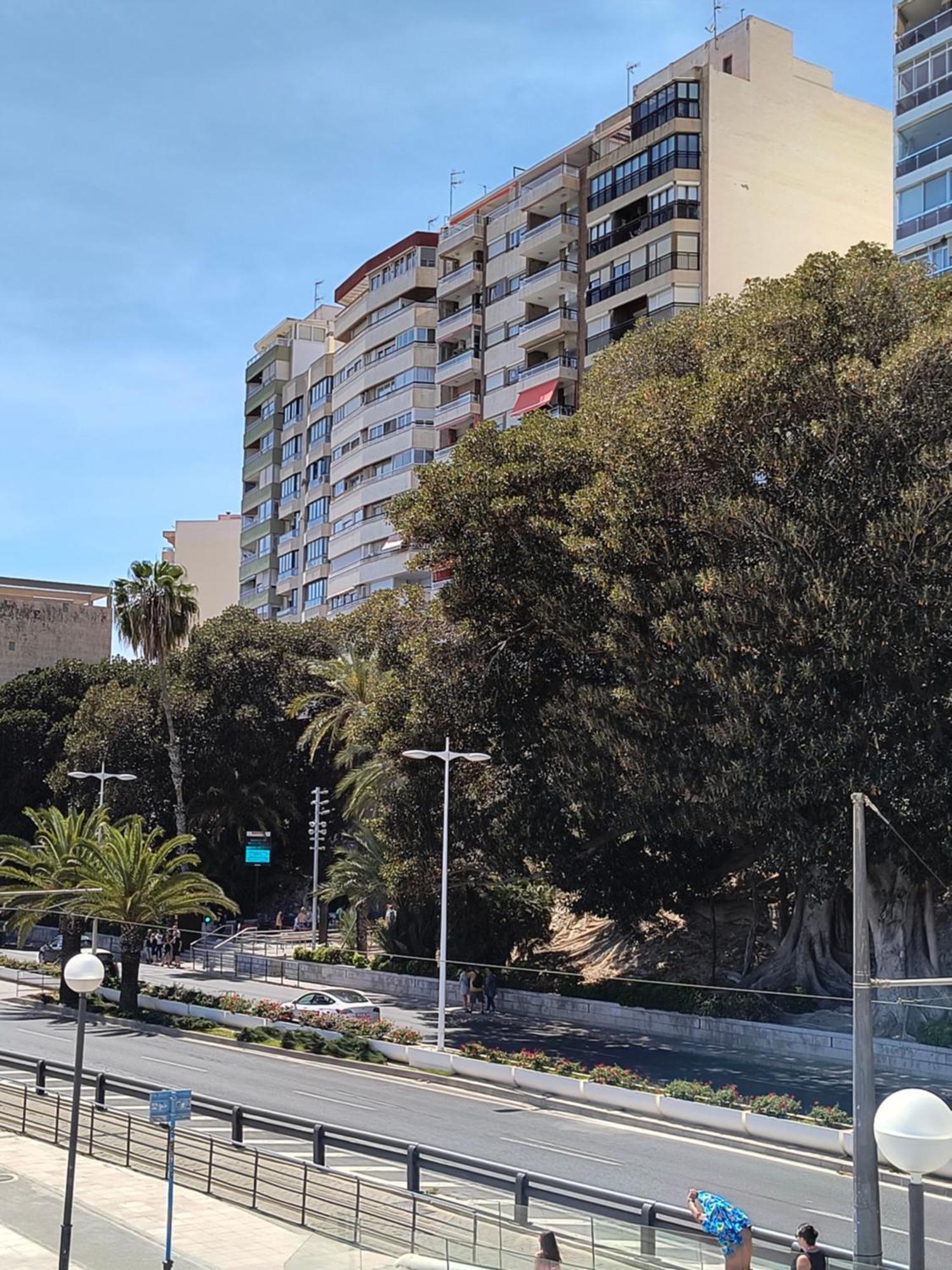 Apartamento Playa Alicante Zewnętrze zdjęcie